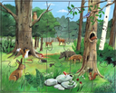 3-in1-Puzzel Dieren-4.webp