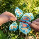 29619-blue-magic-butterfly-plastic-new1024.webp