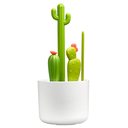 flessenborstels-cacti.webp
