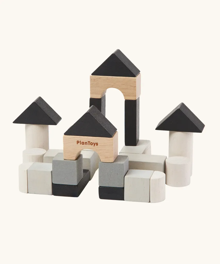 PlanToys-Wooden-Mini-Construction-Block-Set.jpg.webp