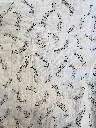 IMG_6526.webp
