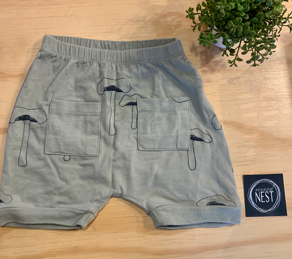 Bloomer m62 - GroCompany