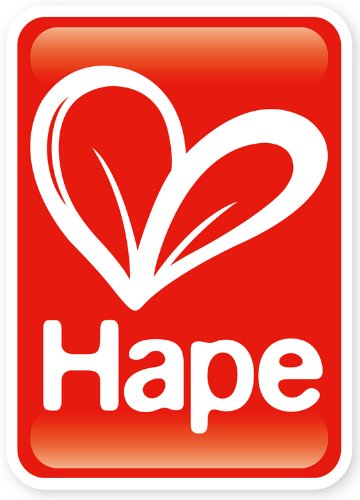houten vliegtuig - HAPE