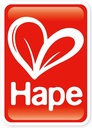 houten vliegtuig - HAPE